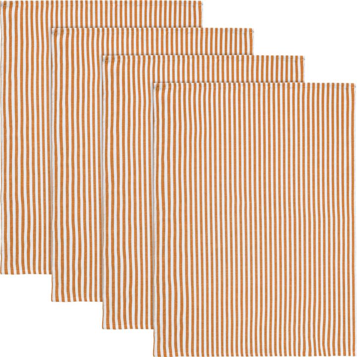 Kürbis