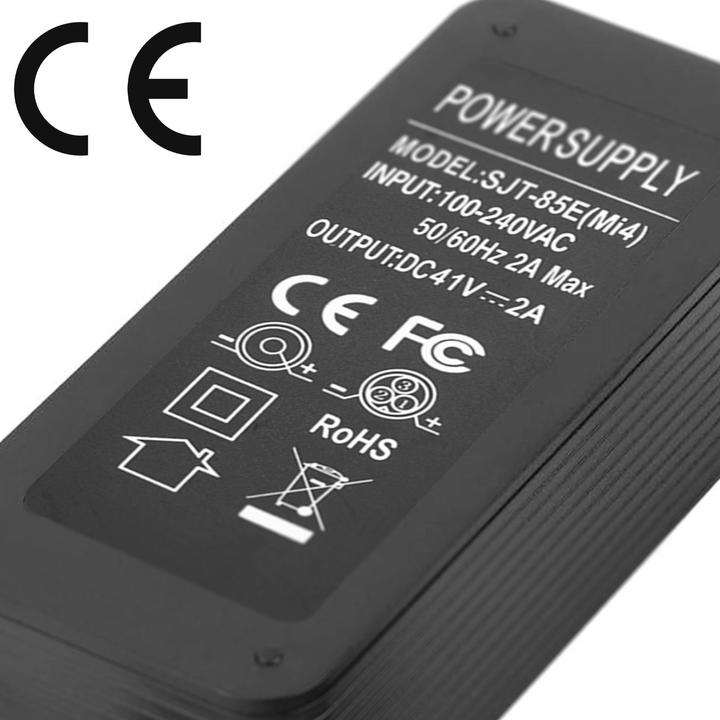 Actual product image Avizar 41V charger