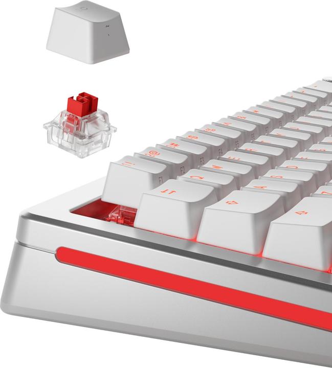 Actual product image Glorious HE Switches (36pcs) - Fox - Lubed - (Linear) 45g