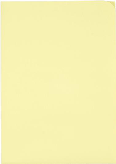 Produktbild Elco Sichthülle Ordo discreta (A4, 100x)