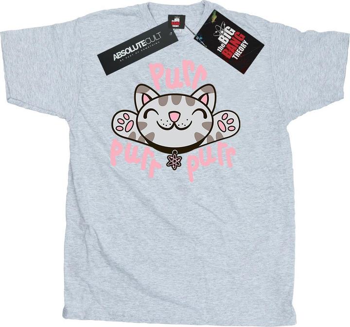 Actual product image Big Bang Theory Mens Soft Kitty Purr T-Shirt (XXL)