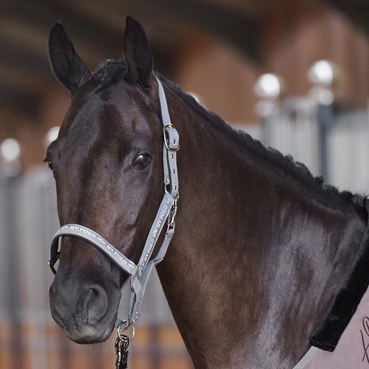 Immagine prodotto HV Polo Nena