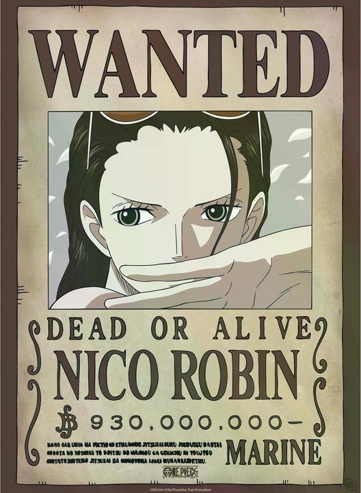 Image du produit GB Eye One Piece - Nami & Robin