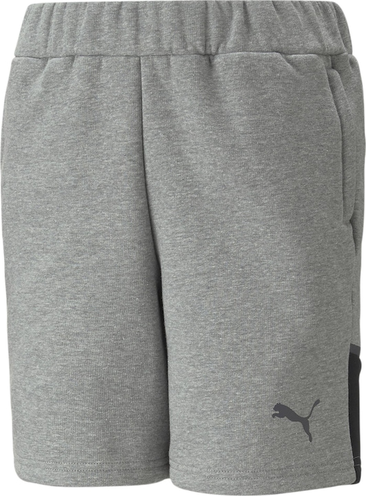 Actual product image Puma teamCUP Casuals Shorts Jr (116)