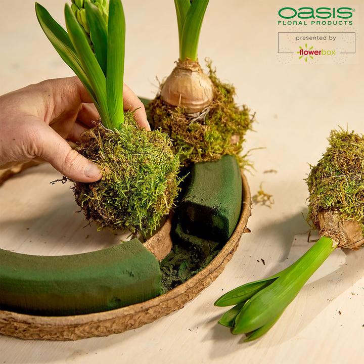 Actual product image Oasis BIOLIT Ring