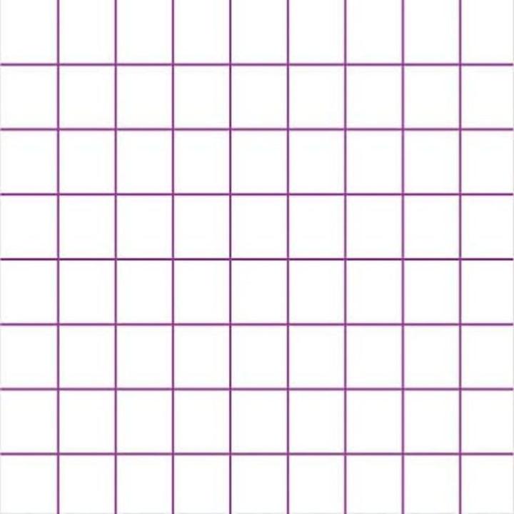 Actual product image Clairefontaine age bag (A4, Checked)