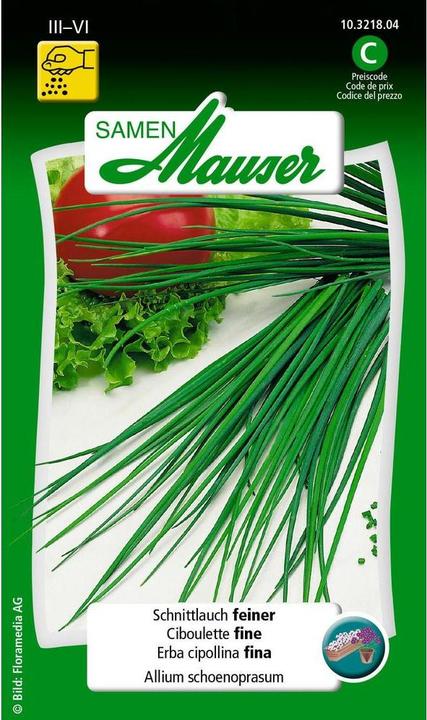 Image du produit Samen Mauser Ciboulette (Graines d'herbes aromatiques)