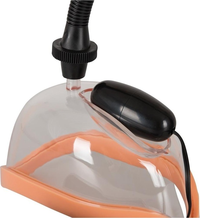 Image du produit You2Toys VagIna Sucker