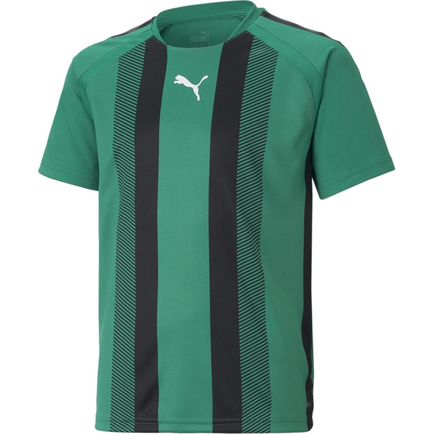 Puma, Jungen, Sportshirt, teamLIGA Striped Jersey Jr-704927 (164), Weiss, 164