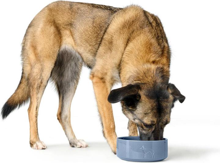 Produktbild Hunter Futternapf für Hunde OSBY Blau aus Keramik 1,1 L (110 cl)