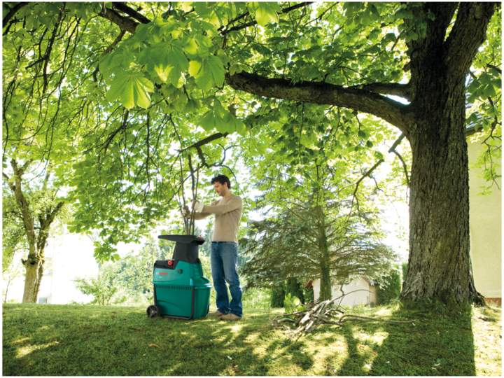 Image du produit Bosch Home & Garden AXT 25 D