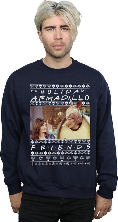 Image du produit Friends - Sweat FAIR ISLE HOLIDAY ARMADILLO - Homme (M)