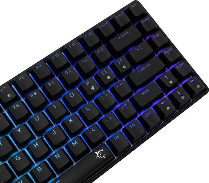 Actual product image White Shark GK-005121 Hamachi Mechanical RGB / US - Blue SW. (US, Cable)