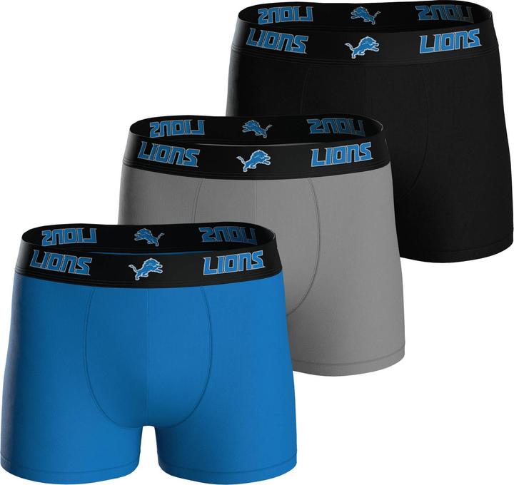Detroit Lions