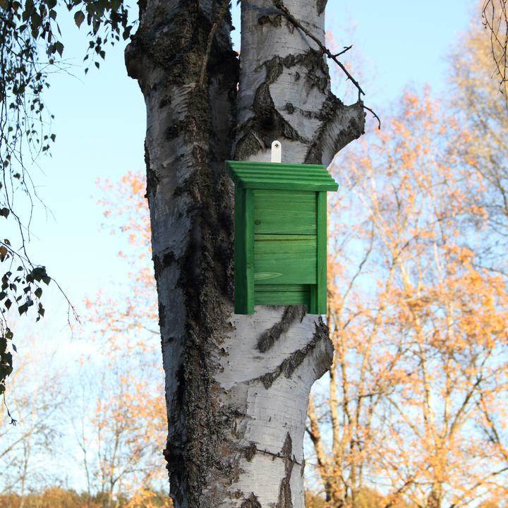 Actual product image Relaxdays Bat box