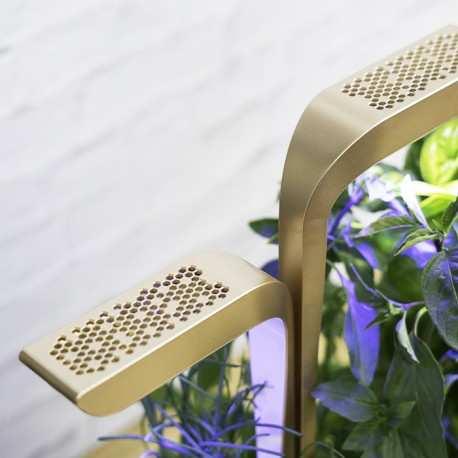 Image du produit Véritable VERITABLE CONNECT Indoor Garden gold incl. 4 packs (33 cm)
