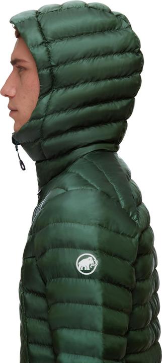 Actual product image Mammut Albula IN Hooded Jacket Men (S)