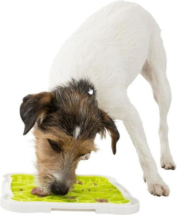Actual product image Trixie Lick'n'Snack Plate (Snack bag dog)