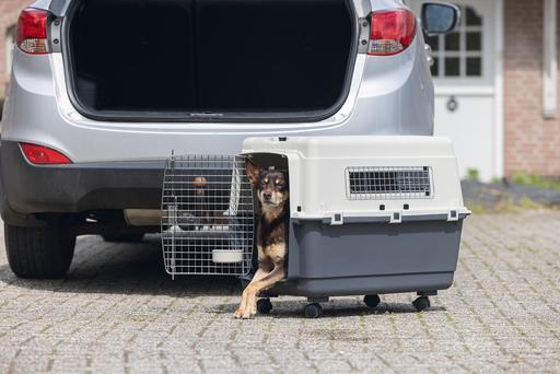 Actual product image Karlie Nomad transport box (Dog, Cat, Lockable)