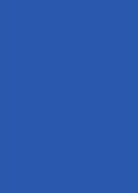 Produktbild Stewo Geschenkpapier Rolle Everyday One Colour (Geschenkpapier, 1 x)