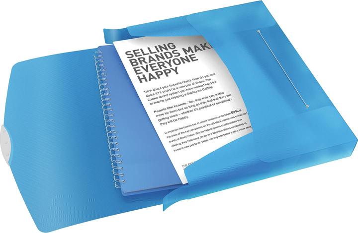 Actual product image Esselte Vivida (A4, 1 x)