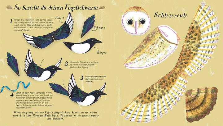 Immagine prodotto Kosmos Flieg mit uns!