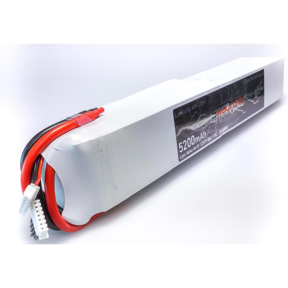 Swaytronic Akku (44.40 V, 5200 mAh)