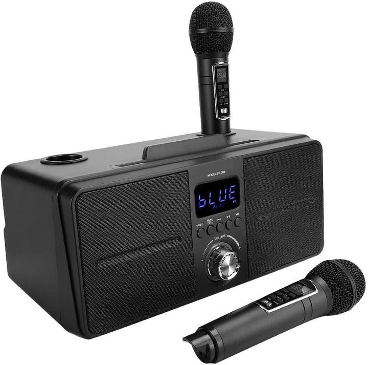 Actual product image Bewinner1 Karaoke Speaker, Black