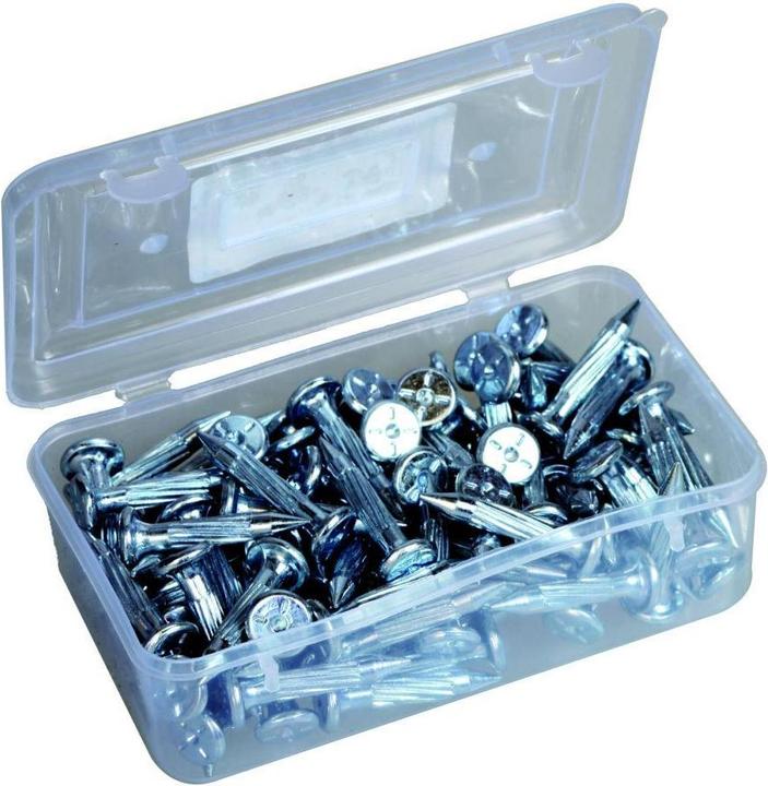Actual product image Laserliner PK-Vermessungsnägel