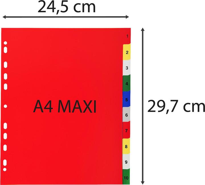 Image du produit Exacompta Intercalaires imprimés numériques PP couleurs 12/100e - 10 positions - A4+ - Assorties vives
