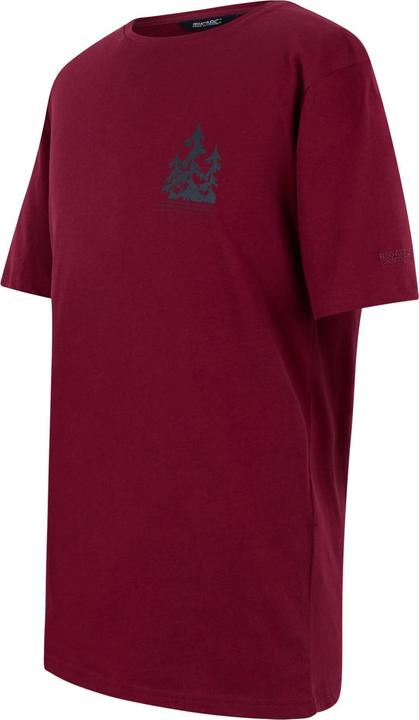 Produktbild Regatta Cline IX TShirt (XXL)