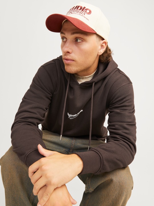 Image du produit Jack & Jones Imprimé Sweat à capuche Sweat à capuche (S)