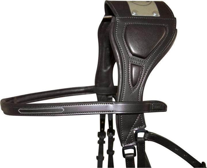 Produktbild TdeT Chagall