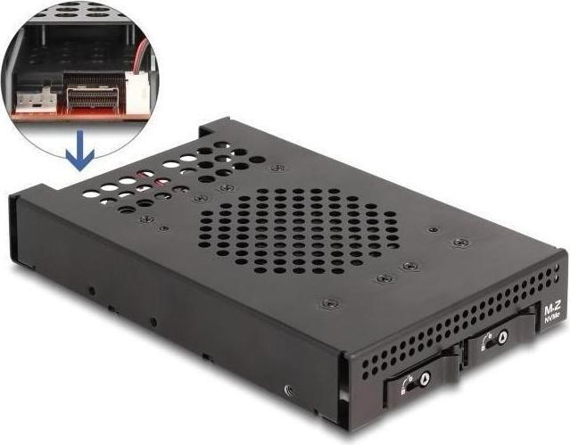 Actual product image Delock 3.5? Removable frame for 2 x M.2 NVMe SSD with Slim SAS