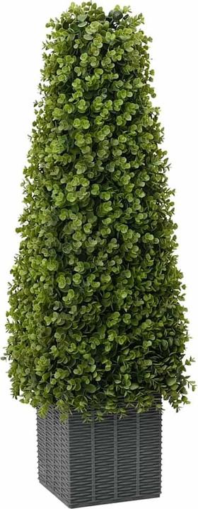 Nero, Verde