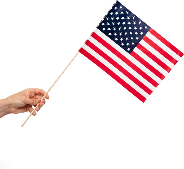 Produktbild Procos USA Papier Handfahnen:1