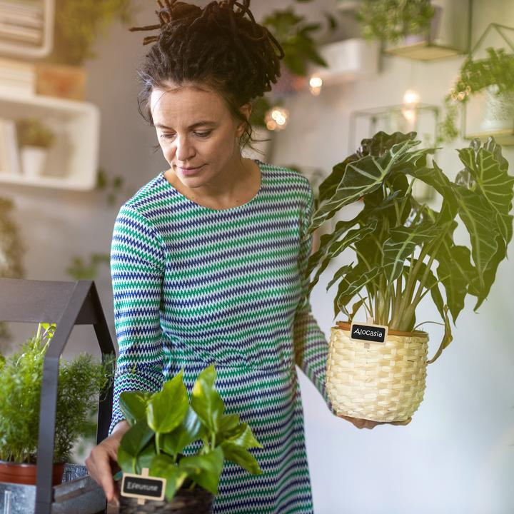 Produktbild Relaxdays Tafelklammern (1.50 cm, 4 cm)