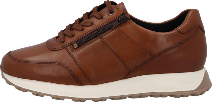 Immagine prodotto Harry - larghezza H (39.5)