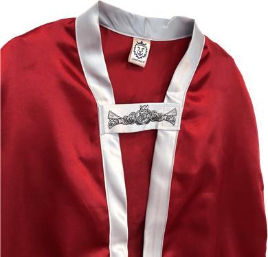 Actual product image Liontouch Viking Harald