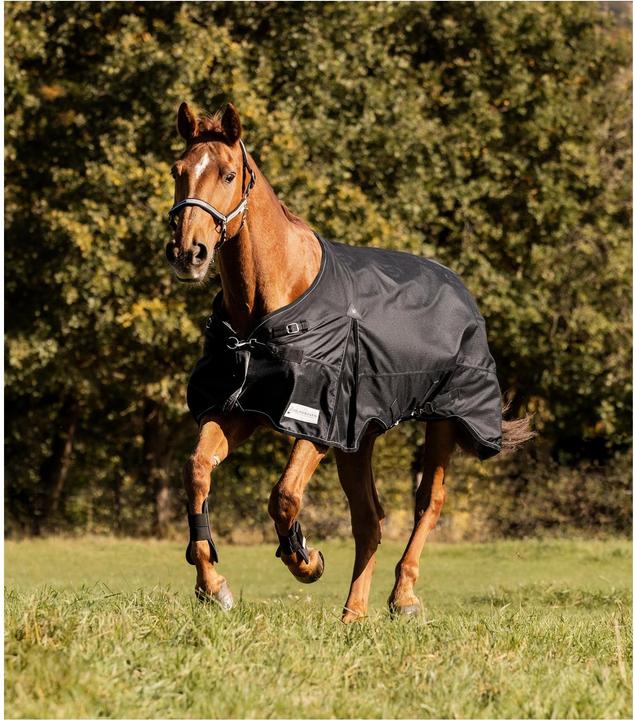 Image du produit Waldhausen Scandic 50g (130 cm)