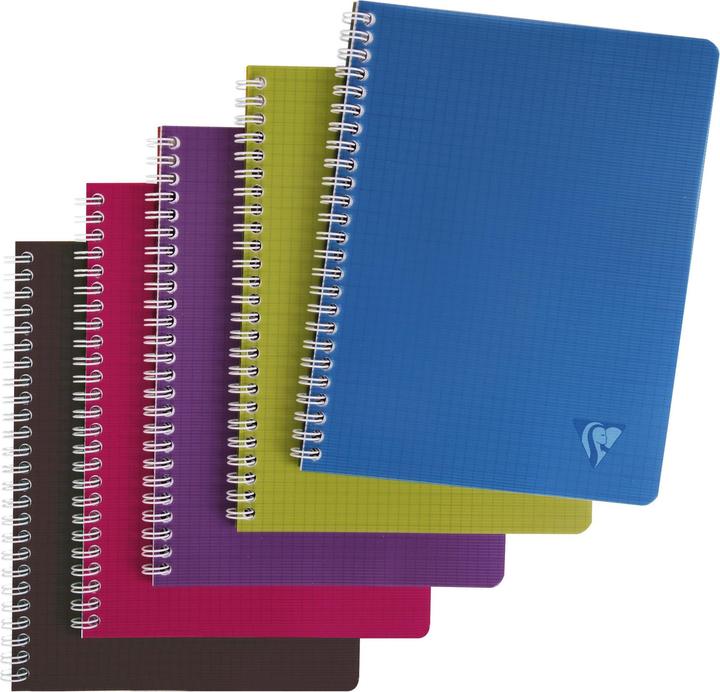 Clairefontaine Cahier LINICOLOR 170x220 seyes (A1, Couverture rigide)