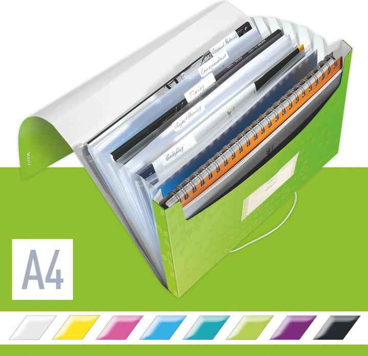 Actual product image Leitz Project folder WOW A4 PP Green (A4, 1x)