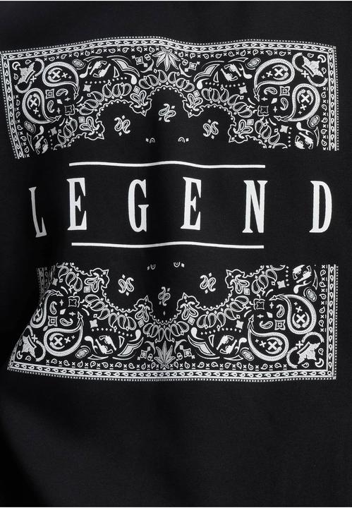 Immagine prodotto Dangerous DNGRS DNGRS Legend Hoody - 187275 (5XL)