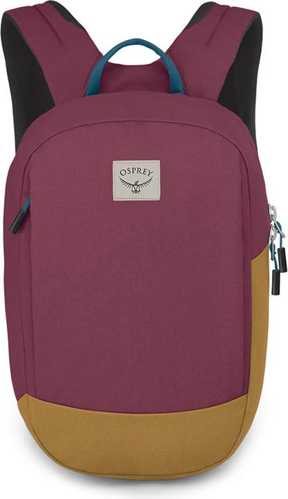 allium rosso-bruno marrone