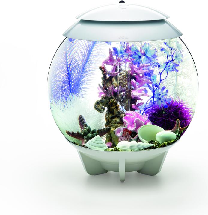 Actual product image Oase biOrb Aquarium 30 Decor Set