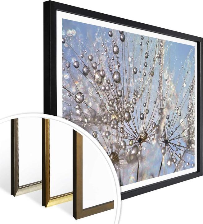 Image du produit Trenddeko Goutte d'eau dans le pissenlit (30 x 24 cm)