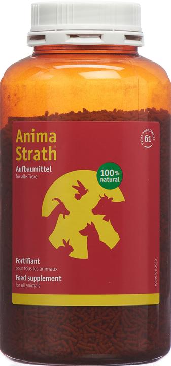 Actual product image Anima-Strath Granules (Adult, 1 pcs., 500 g)