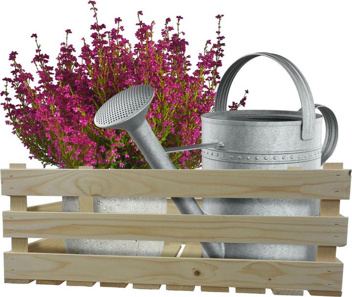 Produktbild Natura Punto Holzkisten Harassen 2er Set natur (42 cm, 2x)