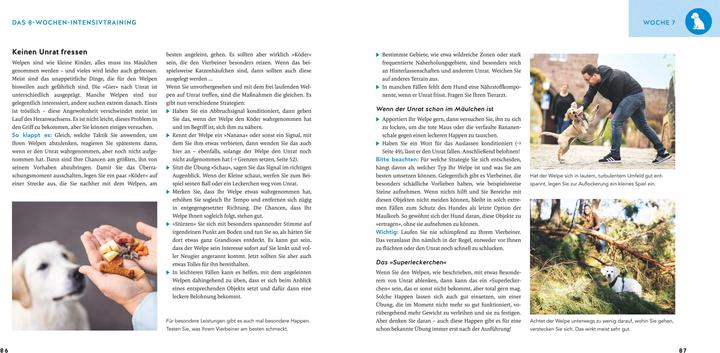 Produktbild Welpen-Erziehung (Deutsch, Katharina Schlegl-Kofler, 2025)