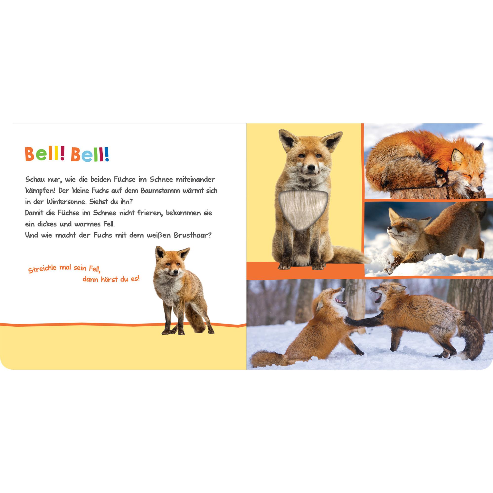 Thumbnail - Ars Edition, Babybücher, Hör mal rein, wer kann das sein? - Winter im Wald (Deutsch)